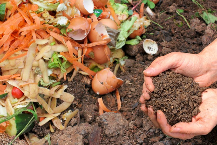 Biomüll auf dem Kompost